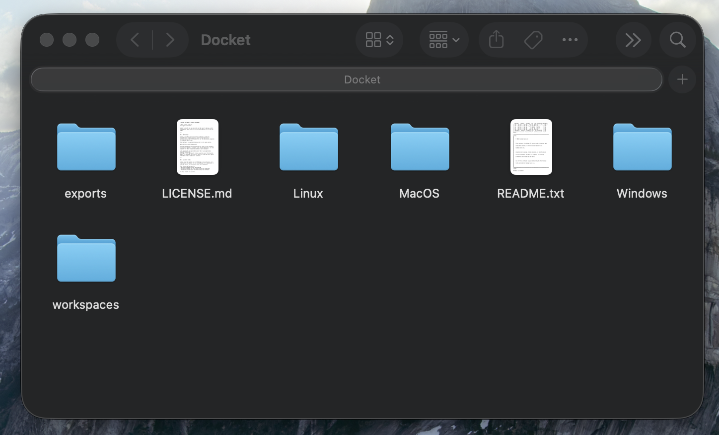 Docket Folder Structure